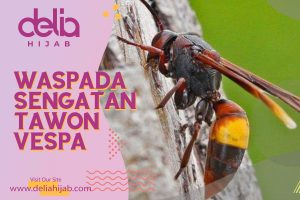 Delia Hijab - Baju Gamis Modern - Waspada Sengatan Tawon Vespa
