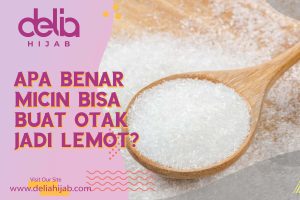 Delia Hijab – Baju Muslim Casual – Konsumsi micin bisa membuat bodoh seseorang, apa benar