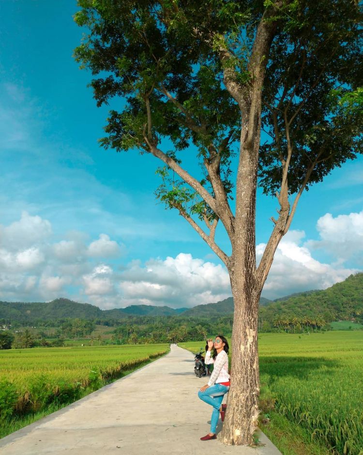 Delia Hijab Sukabumi – Baju Muslim Casual – Model Hijab Casual – Baju Gamis Modern - Persawahan Indah di Kulon Progo - Wisata Viral di Awal Tahun 2020 - Hamparan Sawah 2