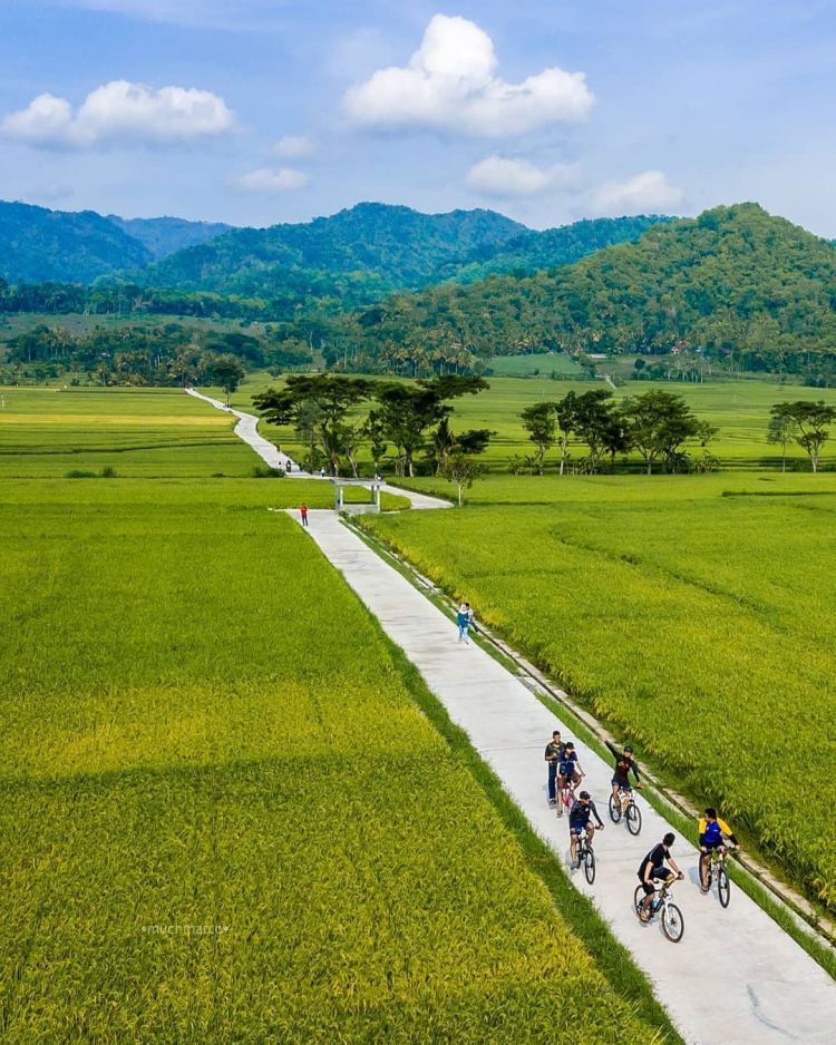 Delia Hijab Sukabumi – Baju Muslim Casual – Model Hijab Casual – Baju Gamis Modern - Persawahan Indah nan Hijau di Kulon Progo - Wisata Viral di Awal Tahun 2020 - Hamparan Sawah