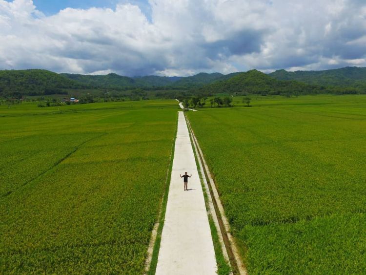 Delia Hijab Sukabumi – Baju Muslim Casual – Model Hijab Casual – Baju Gamis Modern - Persawahan Indah di Kulon Progo - Wisata Viral di Awal Tahun 2020 - Sawah Hijau 2