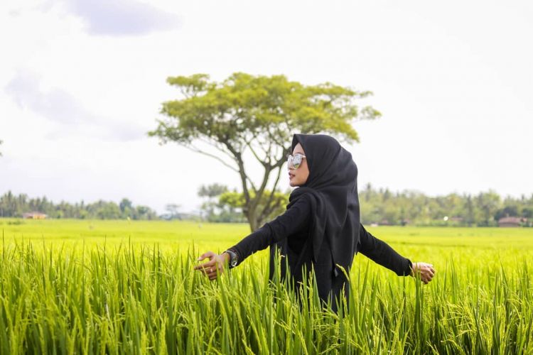 Delia Hijab Sukabumi – Baju Muslim Casual – Model Hijab Casual – Baju Gamis Modern - Persawahan Indah nan Hijau di Kulon Progo - Wisata Viral di Awal Tahun 2020 - Sawah Hijau