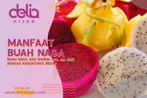 Delia Hijab – Baju Muslim Casual – Hijab Sukabumi - Manfaat Buah Naga Merah, Putih dan Kuning