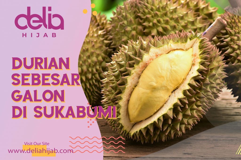 Delia Hijab Sukabumi – Baju Gamis Modern – Baju Gamis Murah dan Cantik – Harga Durian Montong Super – Buah Durian Montong Super – Durian Montong di Sukabumi Sebesar Galon