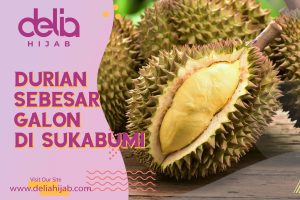 Delia Hijab Sukabumi – Baju Gamis Modern – Baju Gamis Murah dan Cantik – Harga Durian Montong Super – Buah Durian Montong Super – Durian Montong di Sukabumi Sebesar Galon