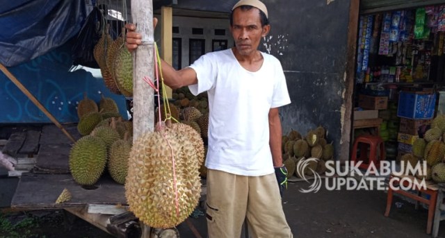 Durian Montong Segede Galon Sukabumi - 1