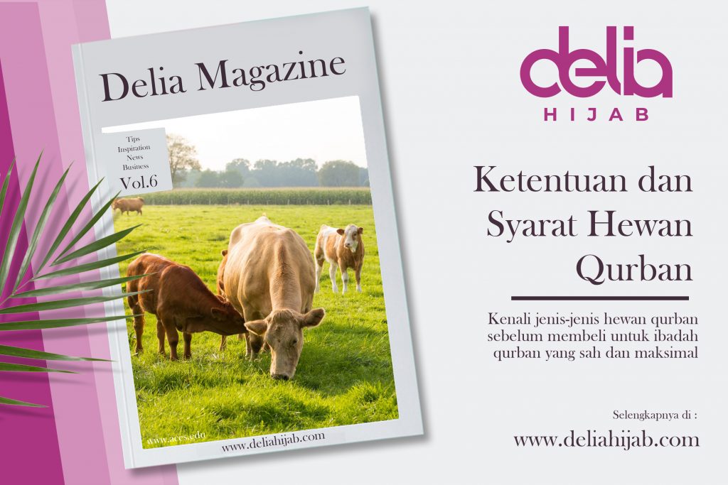 Keyword : Ketentuan dan Syarat Hewan Qurban Sapi, Kambing dan Domba – Jual Hewan Qurban – Ketentuan Hewan Qurban – Idul Qurban – Harga Sapi Qurban Jokowi – Jualan Sapi Qurban Idul Adha – Sembelih Sapi Qurban Mengamuk – Jual Sapi Qurban 2020 – Daftar Harga Sapi Qurban 2020 – Jual Sapi Qurban Murah – Kurban Sapi Kurban Idul Adha