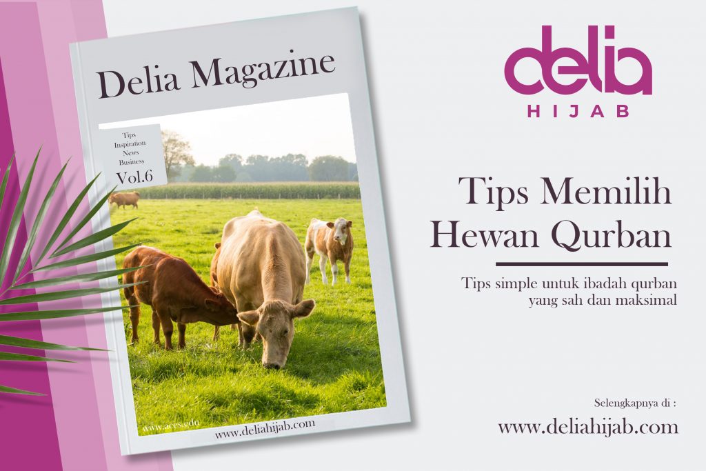 Keyword : Tips Memilih Hewan Qurban Sapi, Kambing dan Domba – Syarat Hewan Qurban Sapi – Jual Hewan Qurban – Ketentuan Hewan Qurban – Idul Qurban – Harga Sapi Qurban Jokowi – Jualan Sapi Qurban Idul Adha – Sembelih Sapi Qurban Mengamuk – Jual Sapi Qurban 2020 – Daftar Harga Sapi Qurban 2020 – Jual Sapi Qurban Murah – Kurban Sapi Kurban Idul Adha